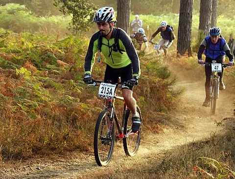 VTT