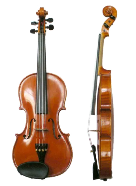 violon