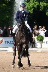Dressage