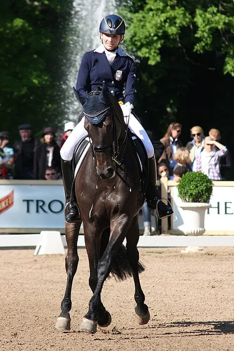 Dressage