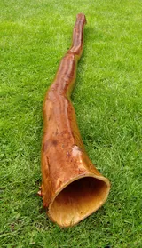 didgeridoo