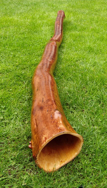 didgeridoo
