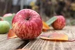Duck with Apples