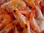 Shrimp Scampi