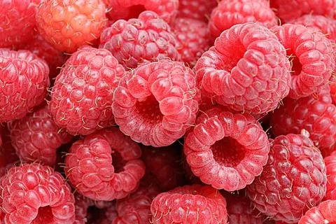 Framboise
