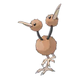 Doduo