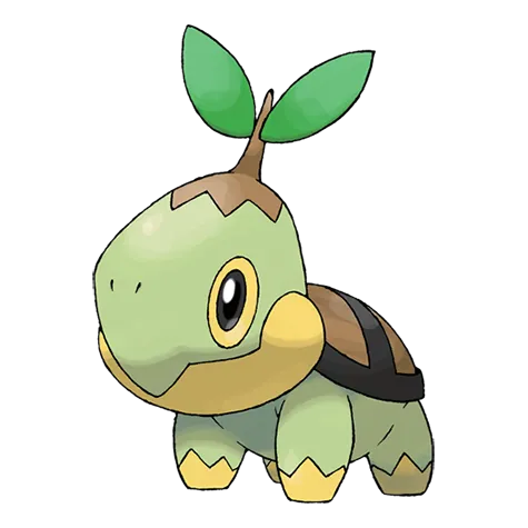 Tortipouss