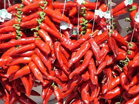 Piment d’Espelette