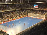 Hockey en salle
