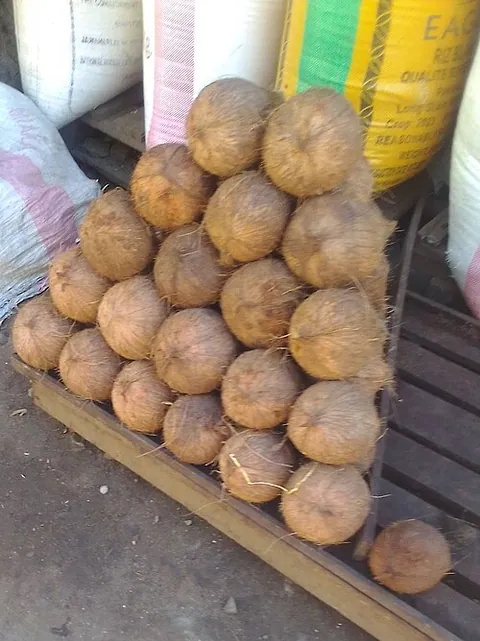 Noix de coco
