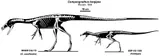 Compsognathus