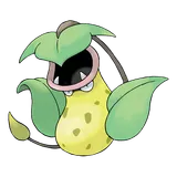 Empiflor