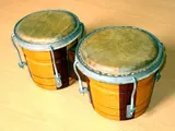 bongo