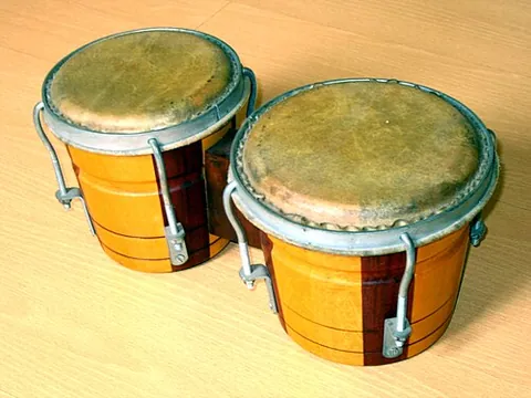 bongo
